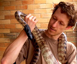 Chris Rehberg holding a black-headed python